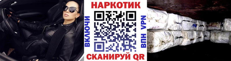 Где купить наркоту Приозерск ГАШИШ  Cocaine  МДМА  Канабис  hydra вход  Мефедрон 