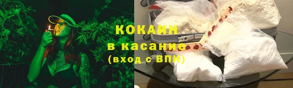 шишки Алзамай