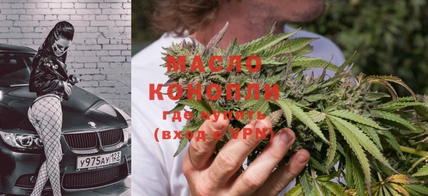 крисы Алексин