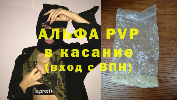 крисы Алексин