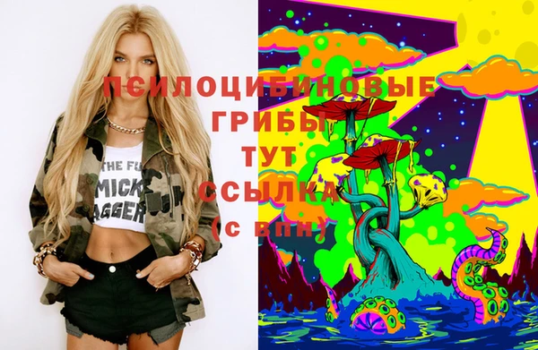 шишки Алзамай