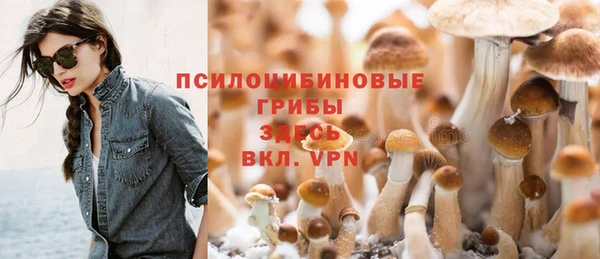шишки Алзамай