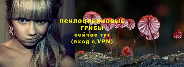 крисы Алексин