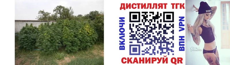 Дистиллят ТГК вейп с тгк  Приозерск 