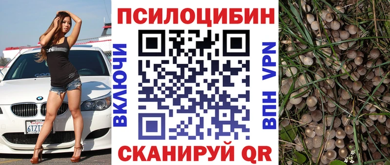 MEGA как зайти  Приозерск  Галлюциногенные грибы GOLDEN TEACHER 