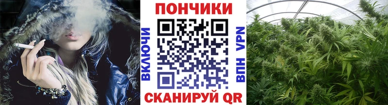 Бошки Шишки сатива  блэк спрут ссылки  Приозерск 